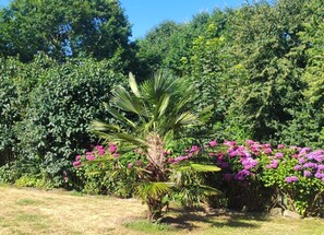Property grounds - Le Petit Menhir Vacation Rental (Trans-la-Forêt)