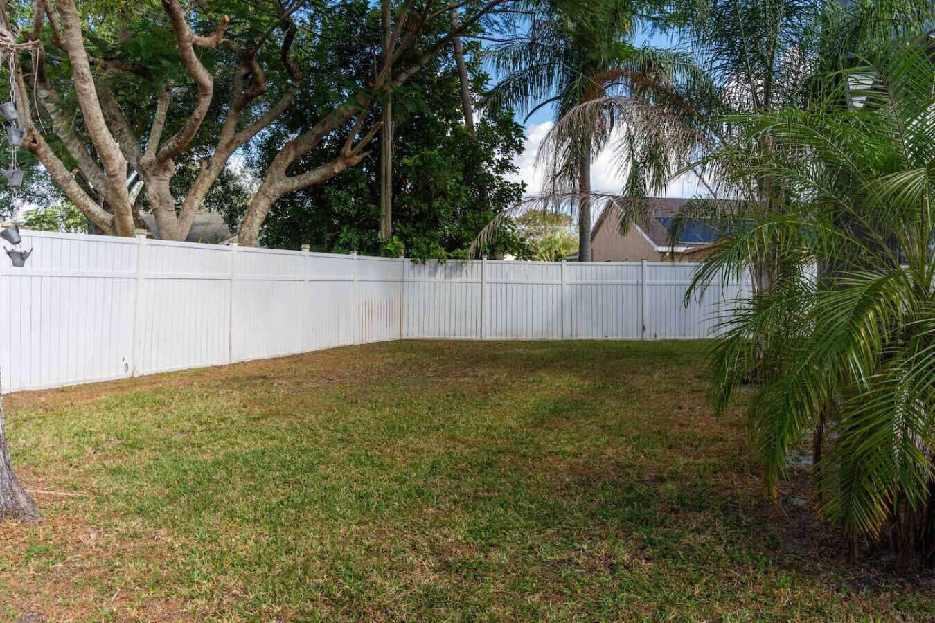 A fenced backyard with grass, trees, and a palm tree.