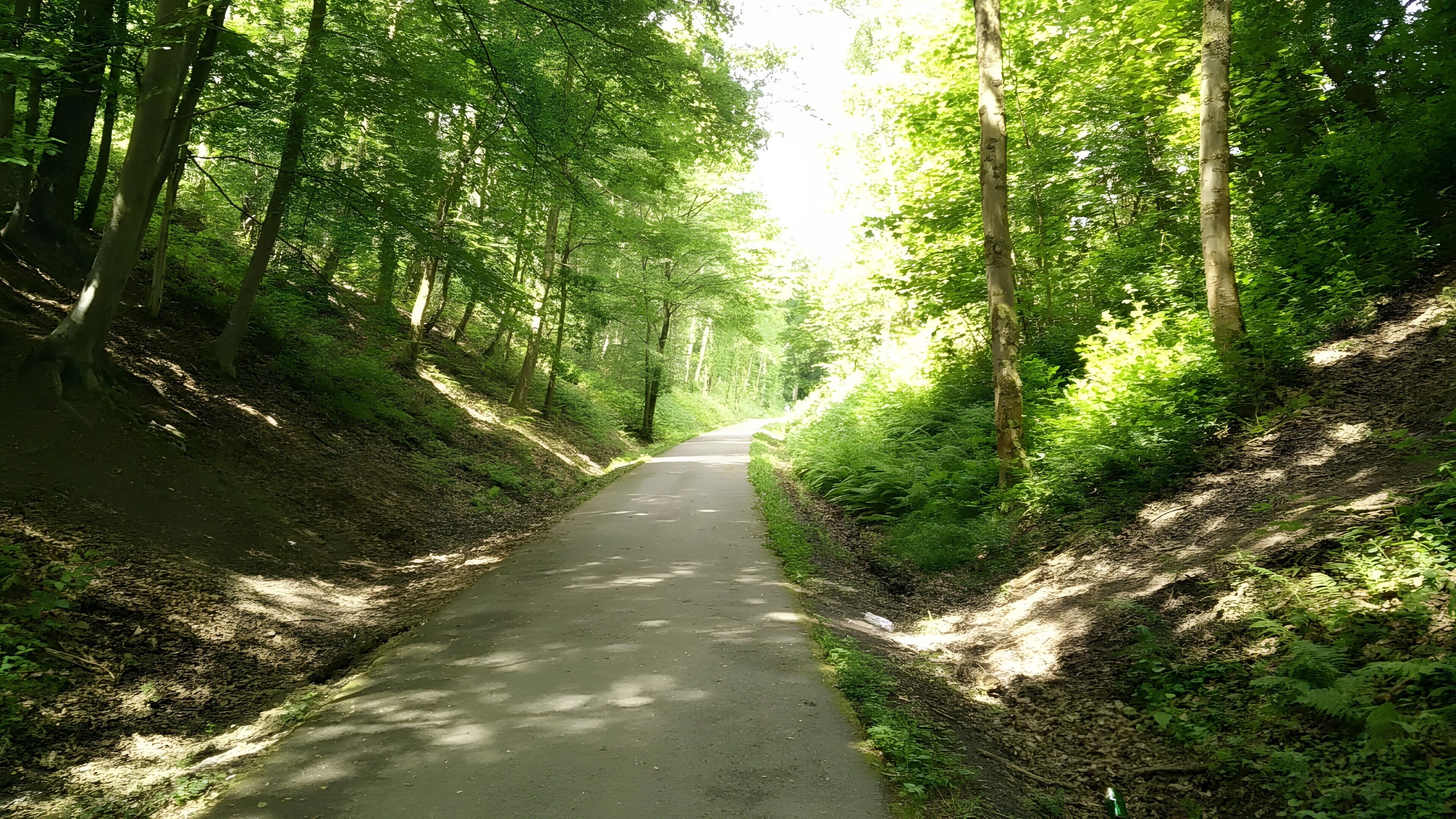 Un sentier étroit et pavé traverse une forêt dense, bordée de chaque côté de grands arbres.