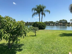 Property grounds - The perfect pool home for your stay (Port St. Lucie)
