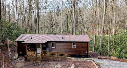 Cozy Cabin Near Lake Burton Clayton - Dog Friendly!