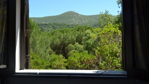 Una ventana con vista a una montaña y un bosque frondoso.