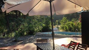 Un patio al aire libre con una mesa y sillas bajo un toldo, una piscina y abundante vegetación al fondo.