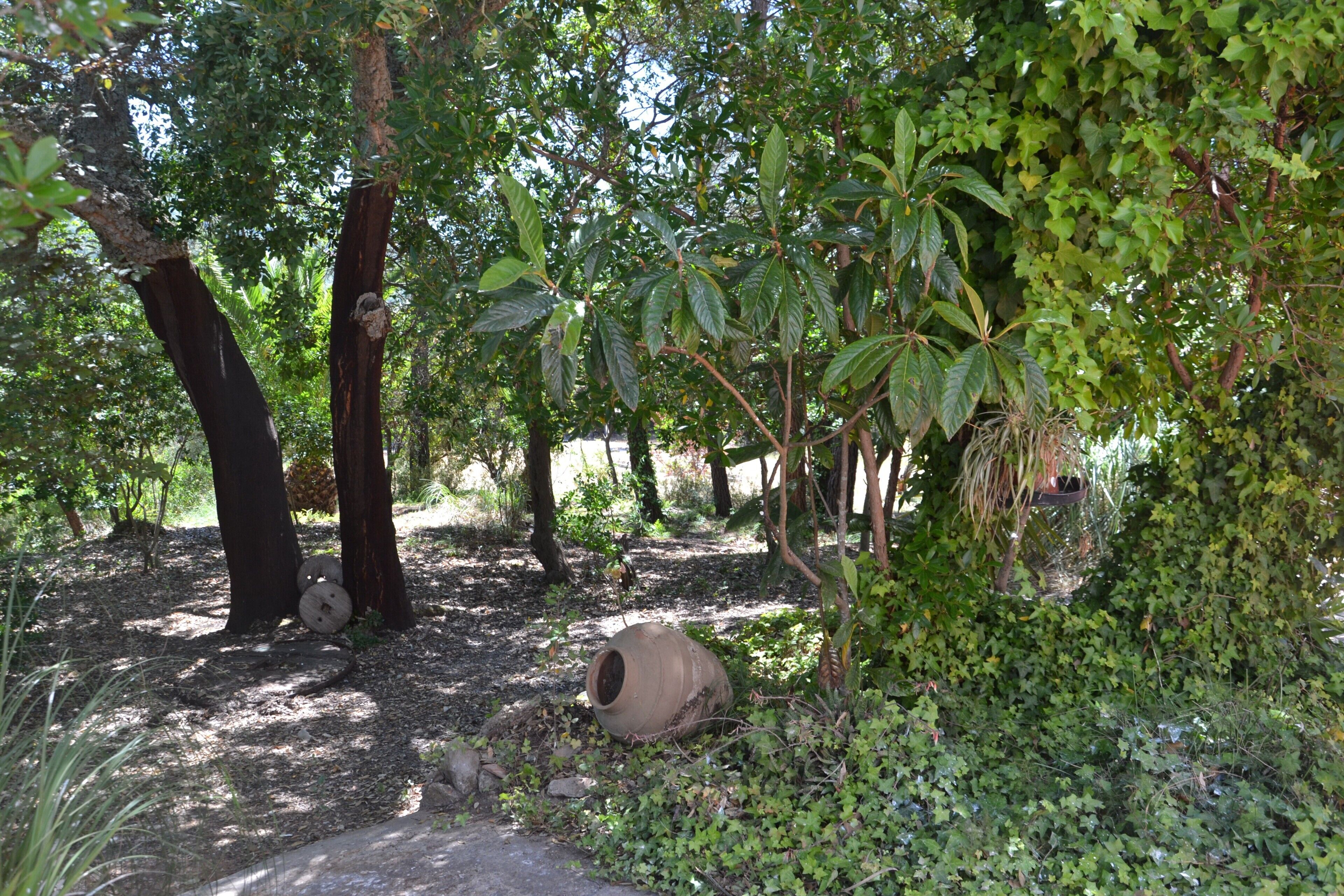 Terrein van de accommodatie