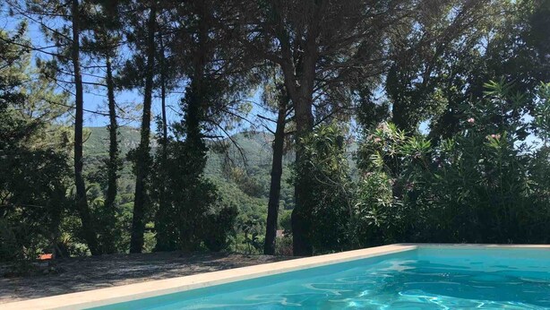 Una piscina cristalina rodeada de árboles frondosos y un paisaje montañoso.