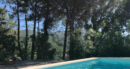 Quinta dos Medronheiros – Azeitão