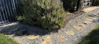 Cozy 1-bedroom Guest house in Santa Clarita close to Six Flags and Old Town