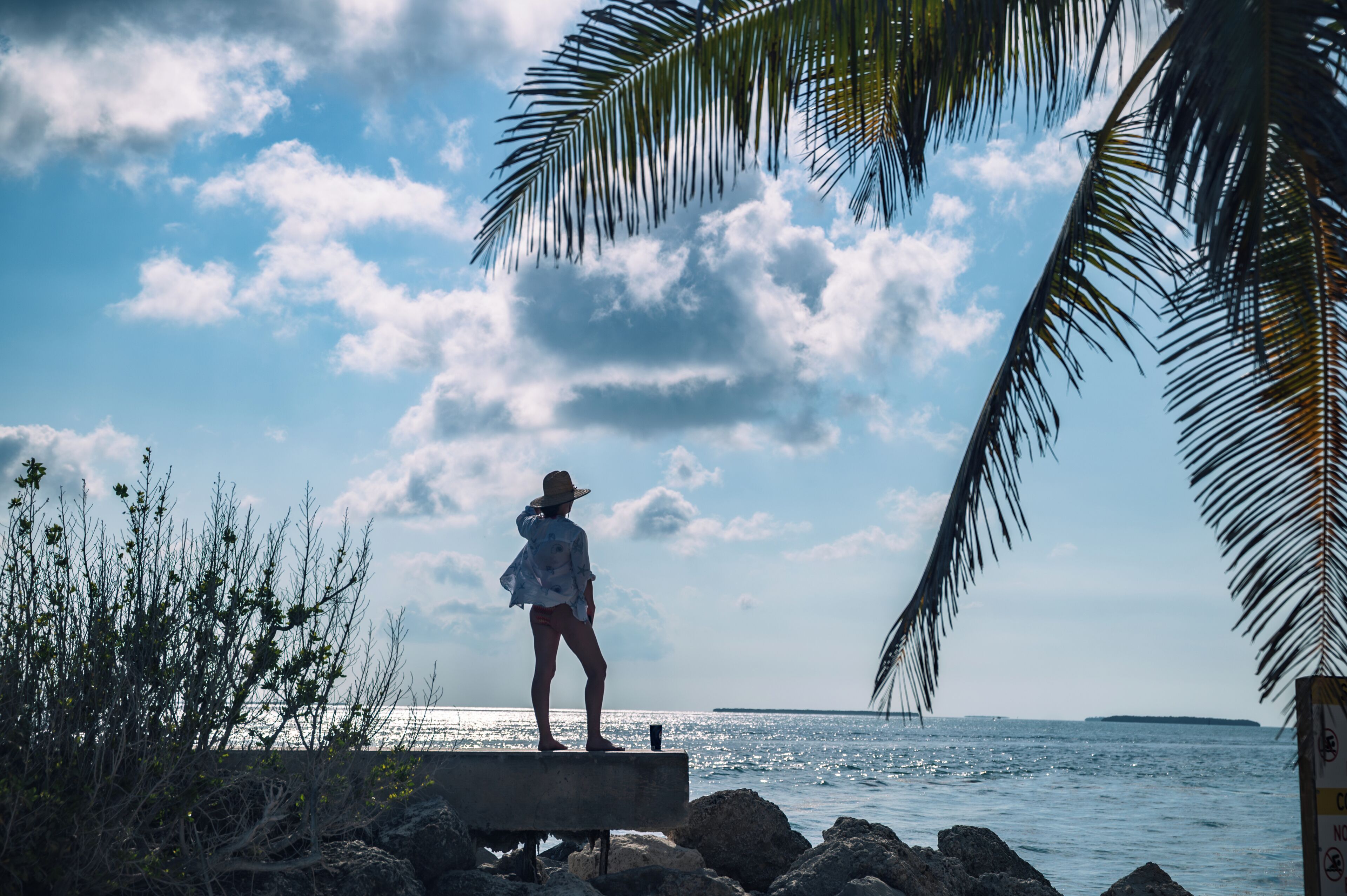 A person standing on a concrete platform by the sea, palm trees in the foreground, and a clear sky.