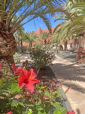 Exterior detail - 🌴 NEW Tamarindo La Ola: Your Tropical Oasis among the Palms 🌴 (Corralejo)