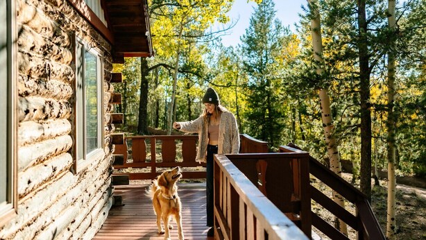Une terrasse en bois avec un chien et une personne.