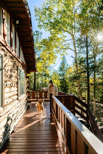 Mountain Haus - Cozy Pet Friendly Cabin with Views, Hot Tub & Fire Table