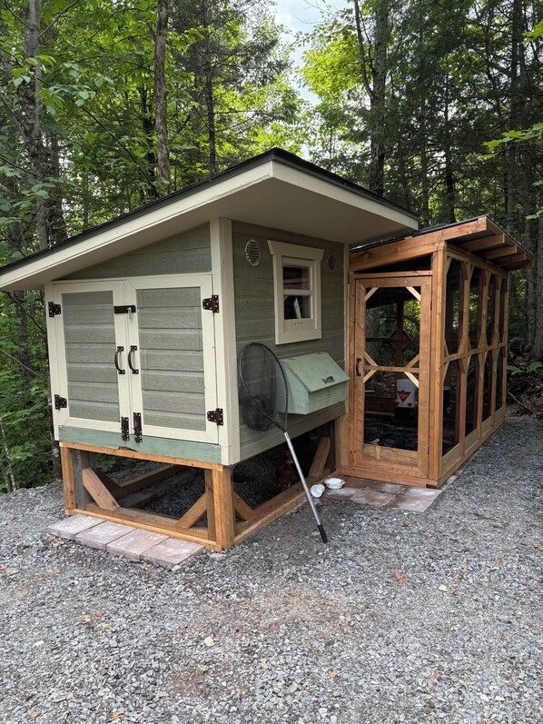 Exterior - Gîte du lac Poisson Blanc B&B (NOTRE-DAME-DU-LAUS)