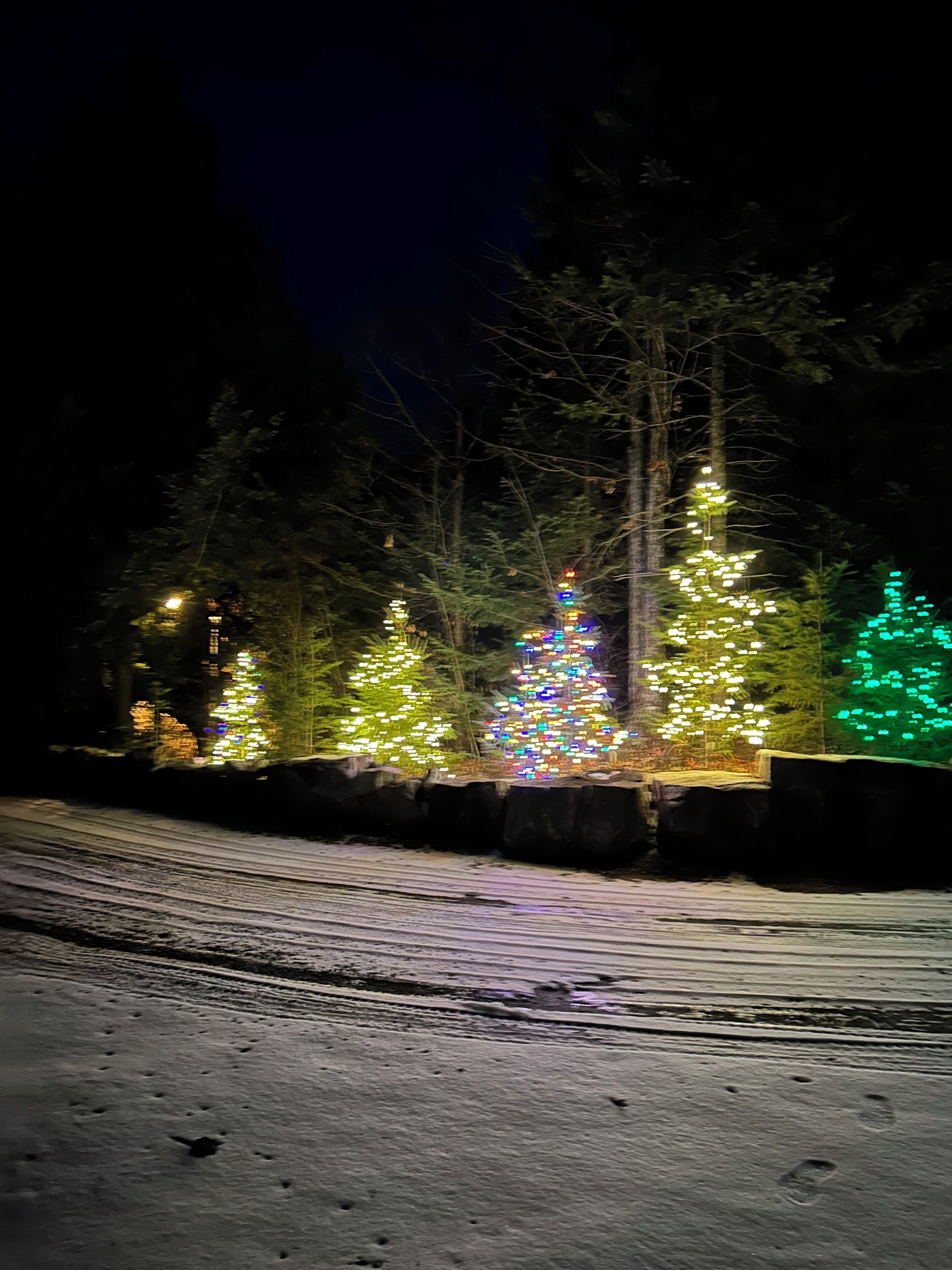 A snow-covered road with Christmas trees decorated with lights.