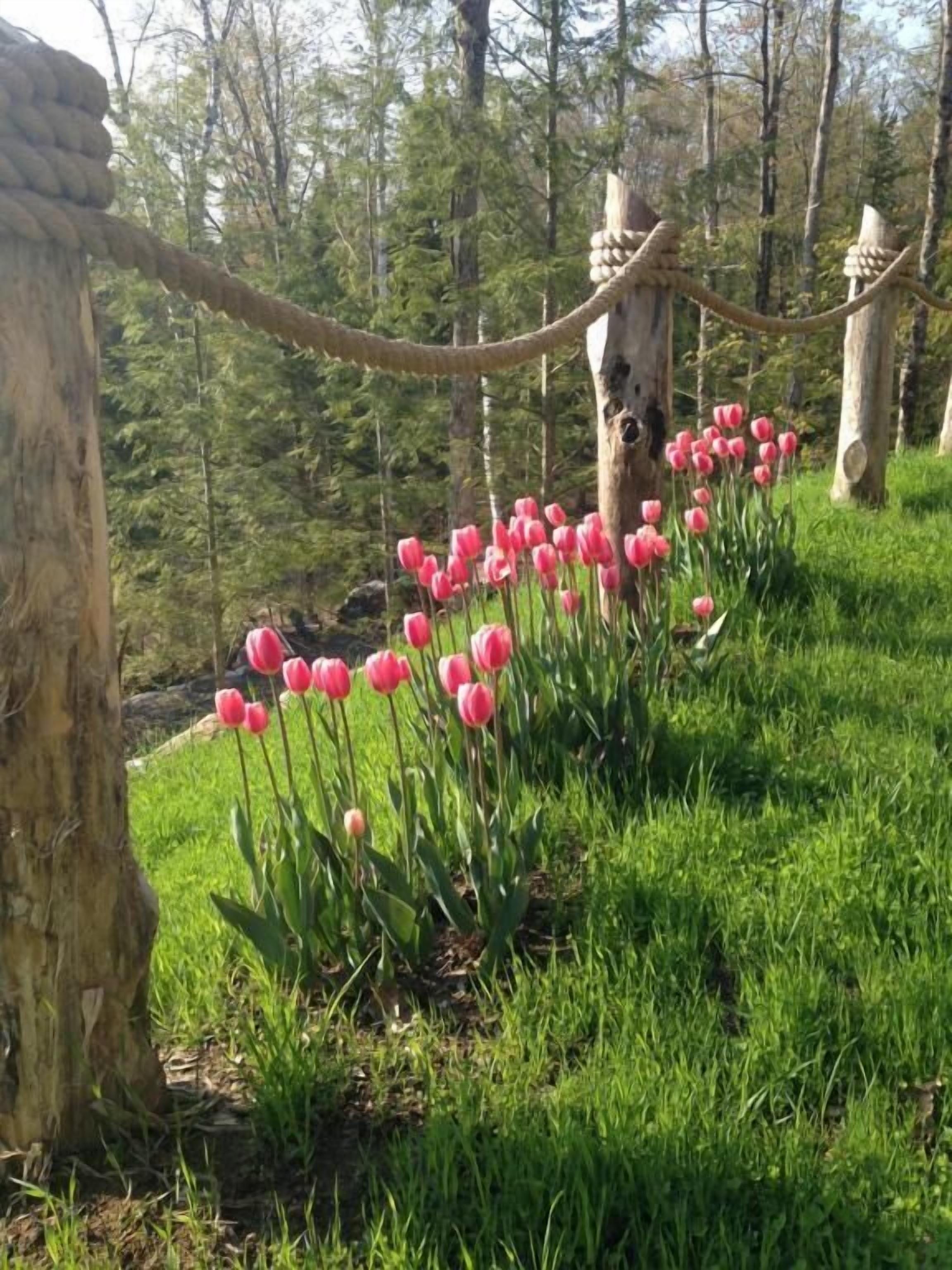 المنطقة المحيطة بالمنشأة