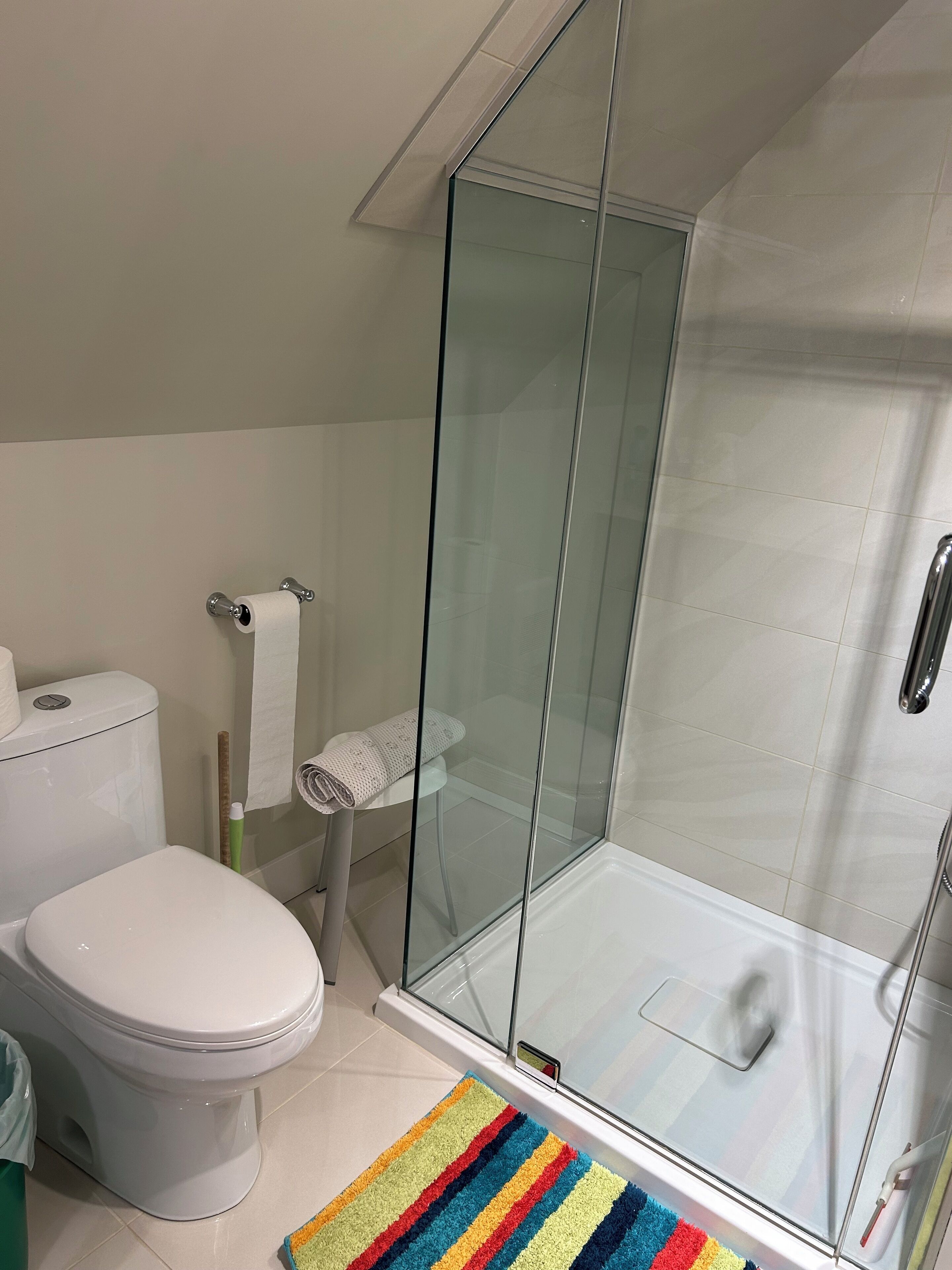 A bathroom with a glass shower enclosure, a toilet, and a roll of toilet paper on the wall.