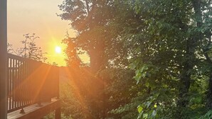 Ένα ξύλινο κατάστρωμα με θέα στον ήλιο μέσα από τα δέντρα.