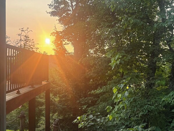 Una terraza de madera con vistas al sol entre los árboles.