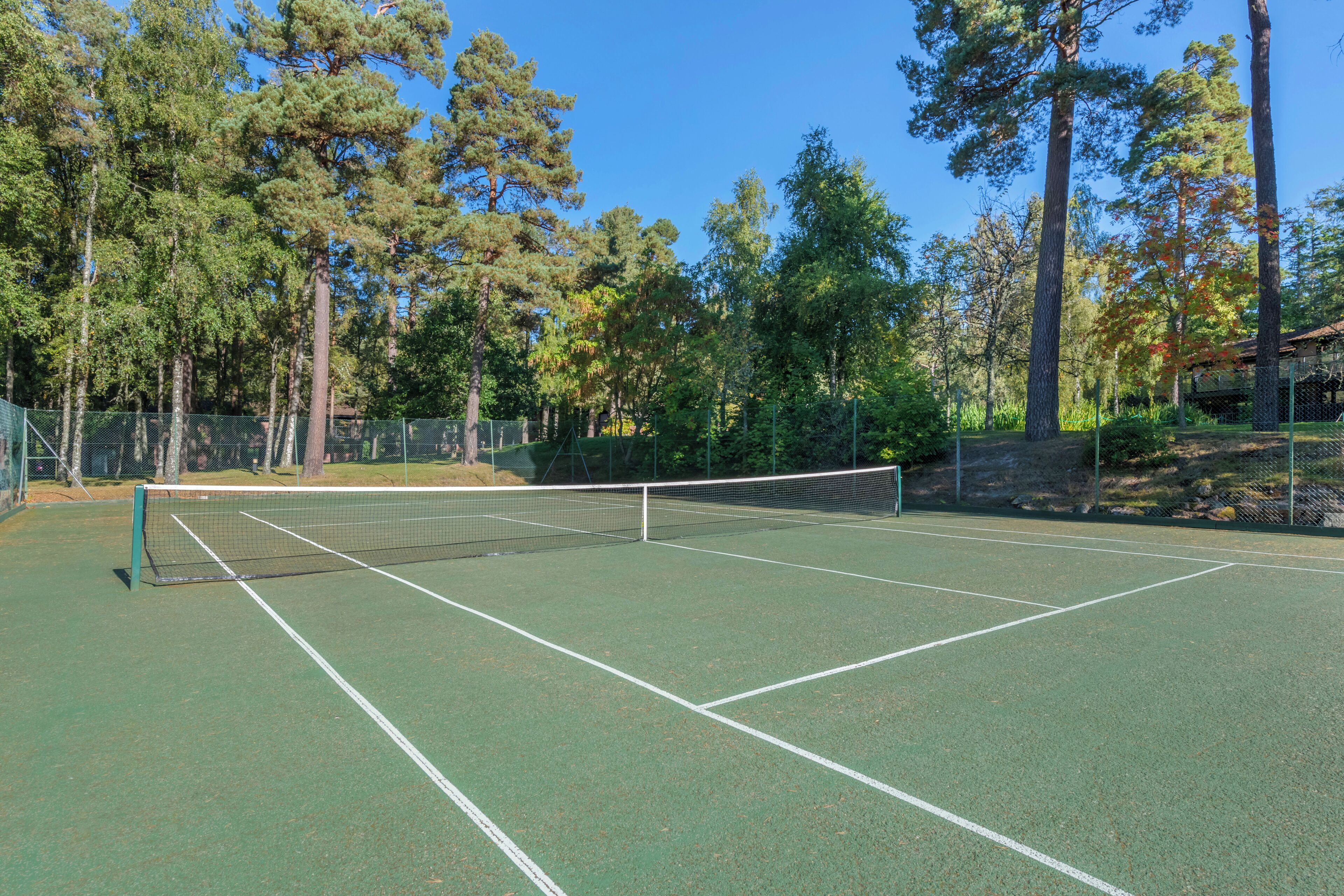 Un campo da tennis con una rete, circondato da alberi e da una recinzione.