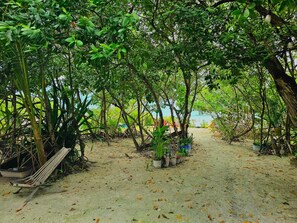 A pathway through a dense tropical garden with various potted plants and a hammock. - Cozy studio in Caye Caulker with AC and rooftop patio (Caye caulker)