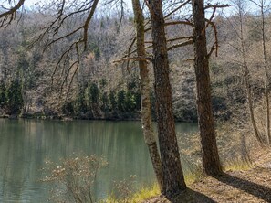A serene lakeside setting with trees and a calm body of water. - Shamrock Valley 1 Bedroom Cabin (Sevierville)