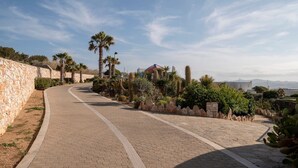 A paved pathway with stone walls and palm trees, leading to a building with a dome roof.
