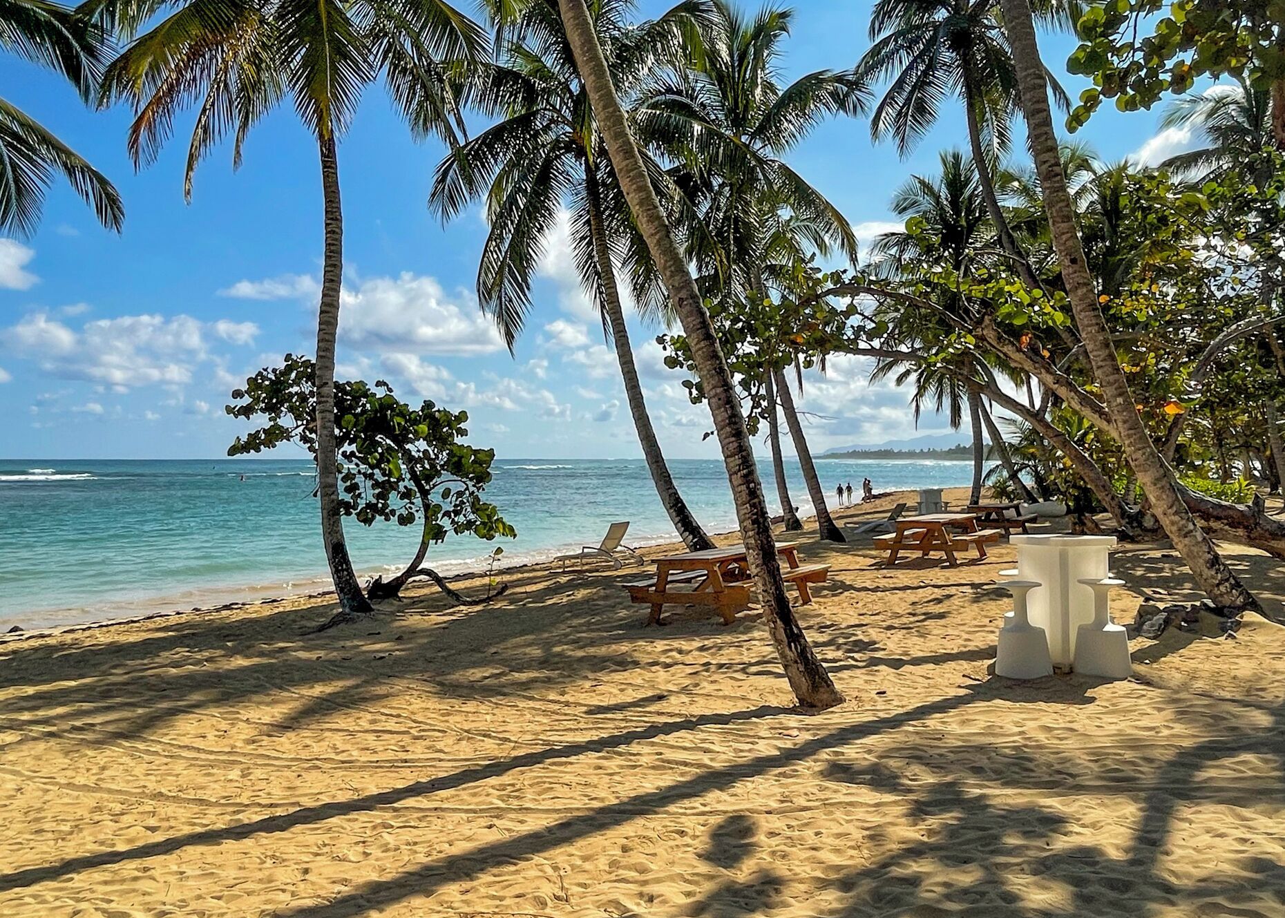 Una playa con palmeras, una orilla arenosa y vista al océano.