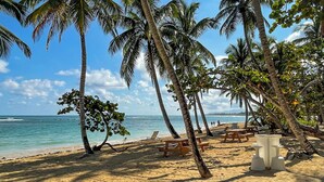 Une plage bordée de palmiers, une étendue de sable et une vue sur l’océan.
