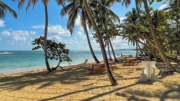 Una playa con palmeras, una orilla arenosa y vista al océano.
