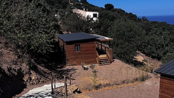 Une cabane en bois avec un toit en pente, un chemin de béton menant à celle-ci, et une vue sur une colline couverte d’une végétation dense.