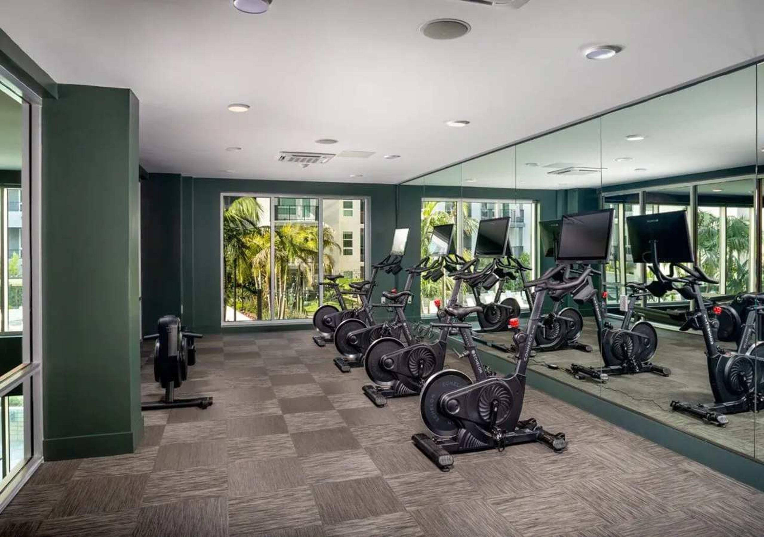 Ein Fitnessstudio mit Ergometer, Spiegeln und Blick auf Palmen durch große Fenster.