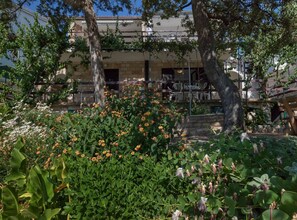 Property grounds - Seaside Retreat- Villa Ruža, Hvar island-Three Bedroom Holiday Home with Sea View (Zastrazisce)