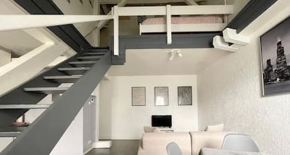 Duplex apartment in the center of Metz