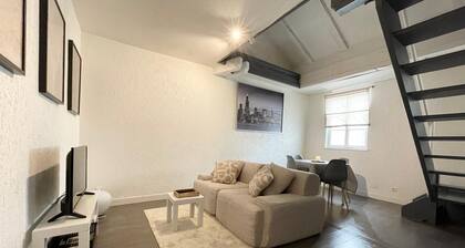 Duplex apartment in the center of Metz