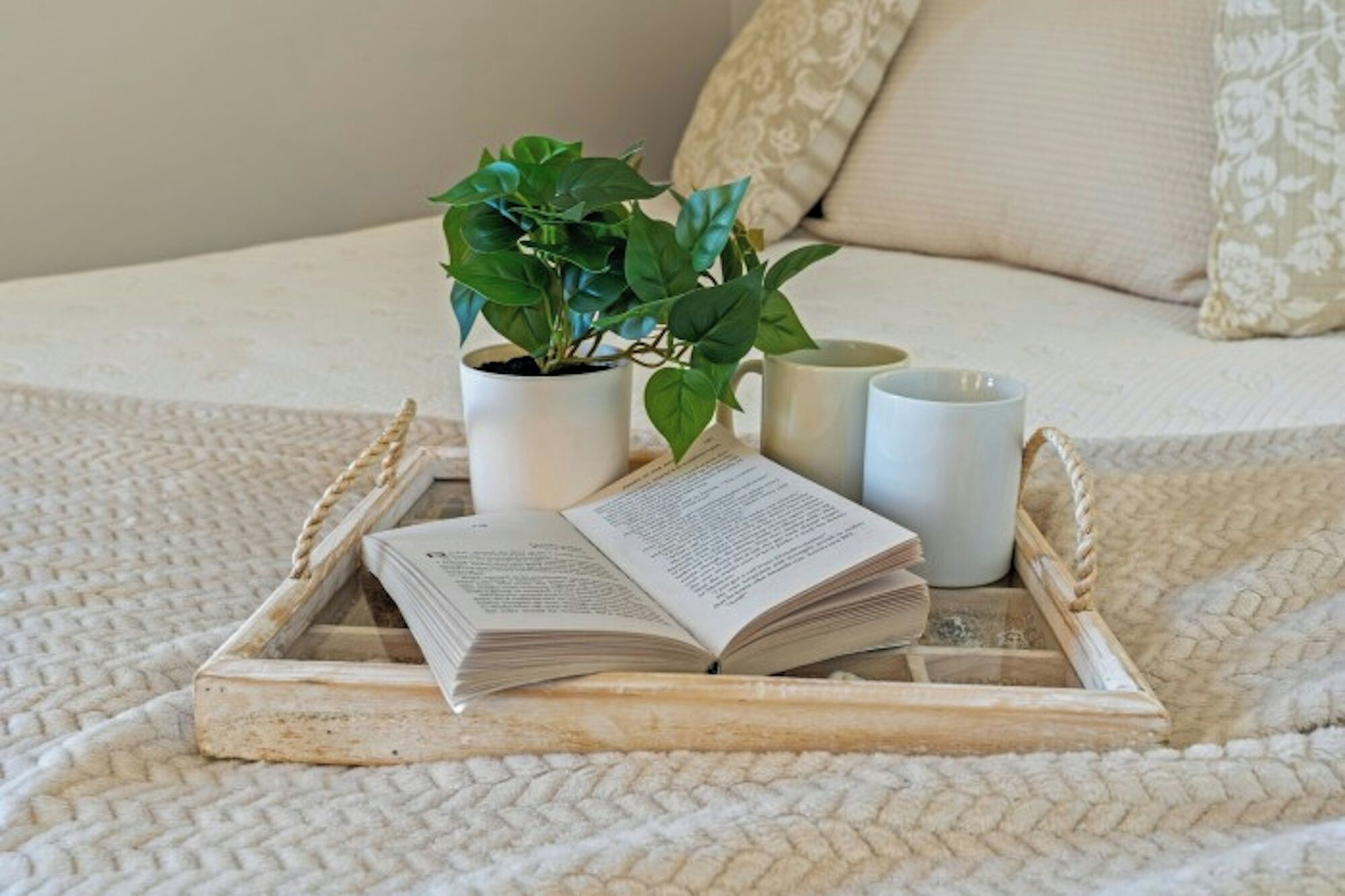 Una cama con una manta blanca texturizada, una planta en maceta, una bandeja con un libro y dos tazas blancas.