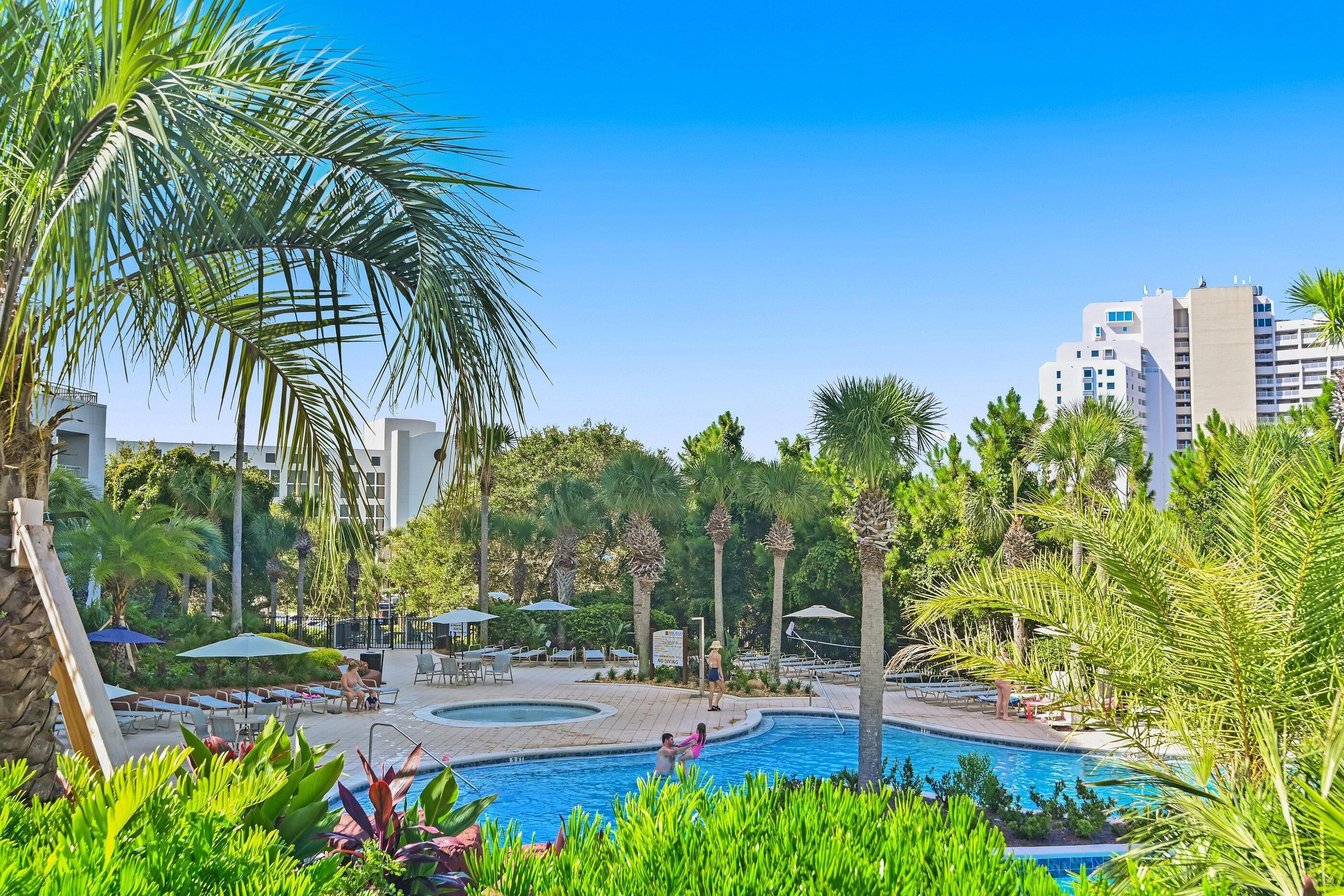 A pool area with lounge chairs and umbrellas, surrounded by palm trees and greenery.