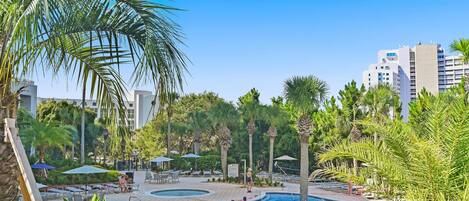 A pool area with lounge chairs and umbrellas, surrounded by palm trees and greenery.