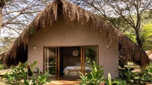 A thatched-roof hut with a glass door leading to a bed, surrounded by greenery. - Holistic EcoHotel (San Nicolás)