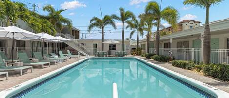 A swimming pool with lounge chairs and umbrellas, surrounded by palm trees and buildings.