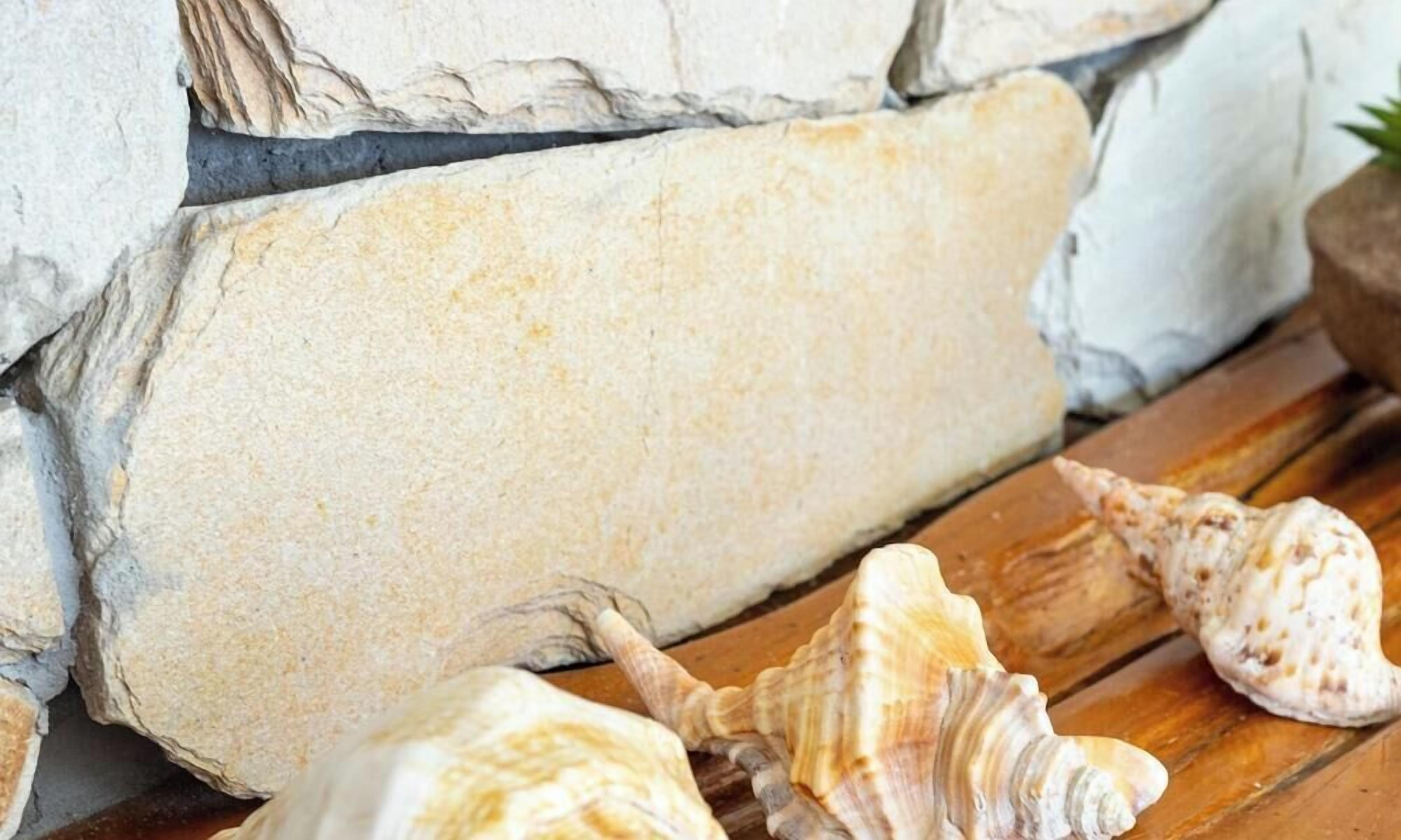A stone wall with a wooden bench and seashells.