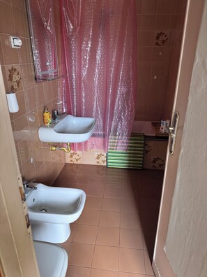 Hair dryer, bidet, towels, soap