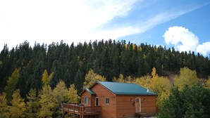 A wooden cabin with a green roof, a deck, and a dirt path leading to it, surrounded by a forest. - Charming 3-bedroom house with hot tub in Bailey, perfect for relaxing stays (Bailey)