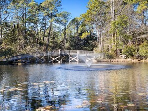 A wooden bridge over a calm lake with lily pads, surrounded by trees. - Cassine Gardens #101 (Santa Rosa Beach)