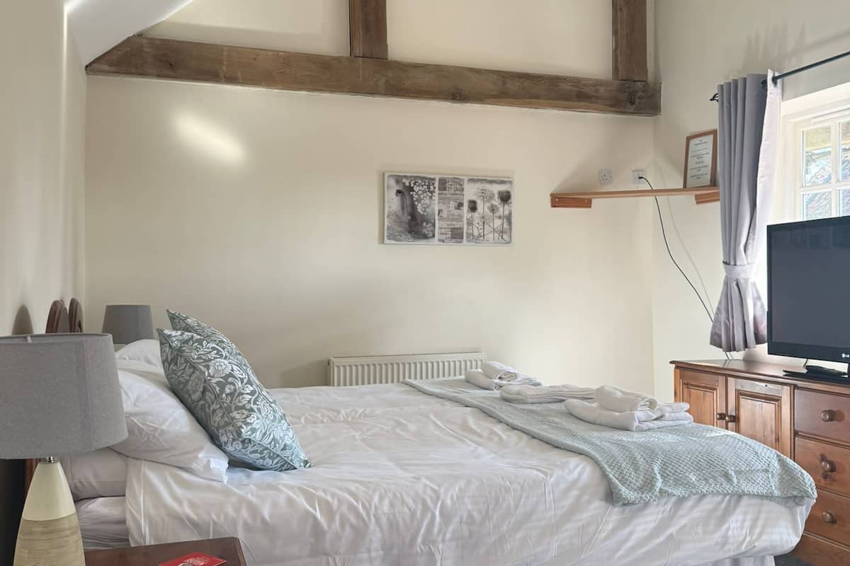 Una camera da letto con un letto, una TV, una lampada, un comò in legno e una ventola a soffitto.