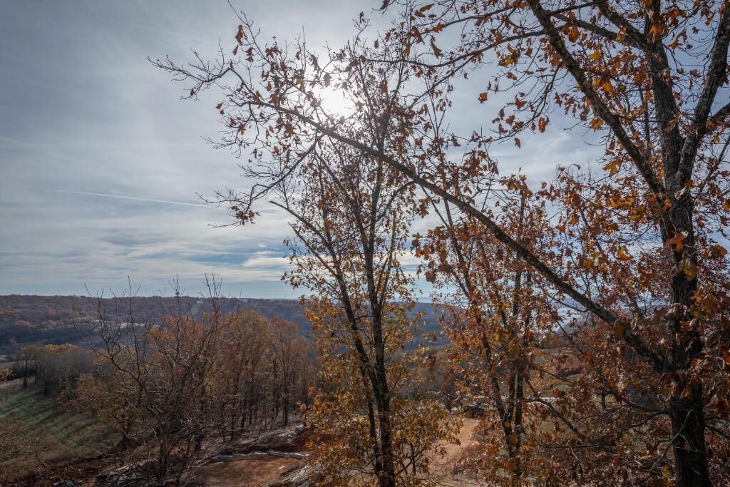 A forested landscape with a dirt path, trees with autumn leaves, and a distant view of a valley.