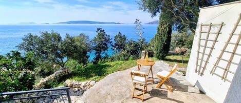 テラス / パティオ