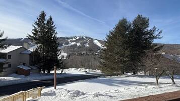 Vista desde la propiedad