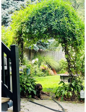 Terrace/patio - 2026 World Cup Accommodation, Stunning house, sleeps 6, 2 car parking and garden (Jersey City)