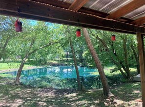 Property grounds - Cozy cabin with pond (Paducah)