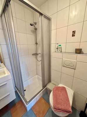 Regadera, toallas, jabón, papel de baño