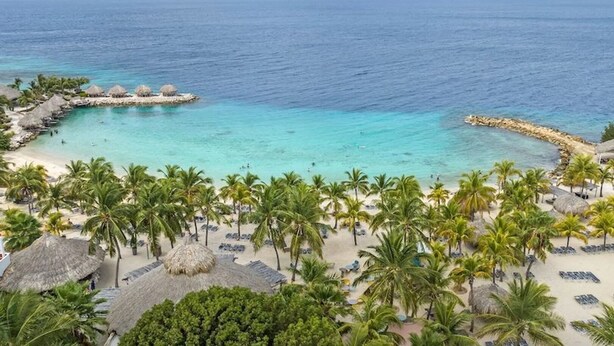 Ett semesterparadis vid stranden med fri utsikt över havet, palmer och byggnader med halmtak.